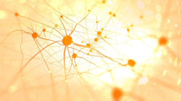 Protecting Neurons Could Prevent Depression and Cognitive Deterioration Caused by Alzheimer’s