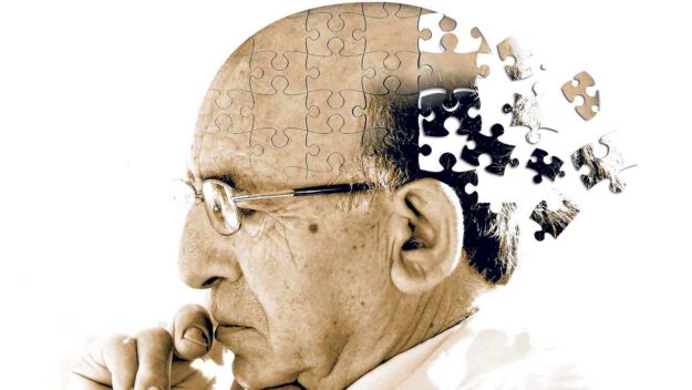 What Does Alzheimer’s Do To The Brain?
